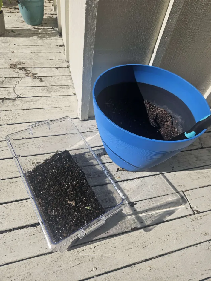 Clear plastic container filled with dirt next to a planting pot with a shovel in it.