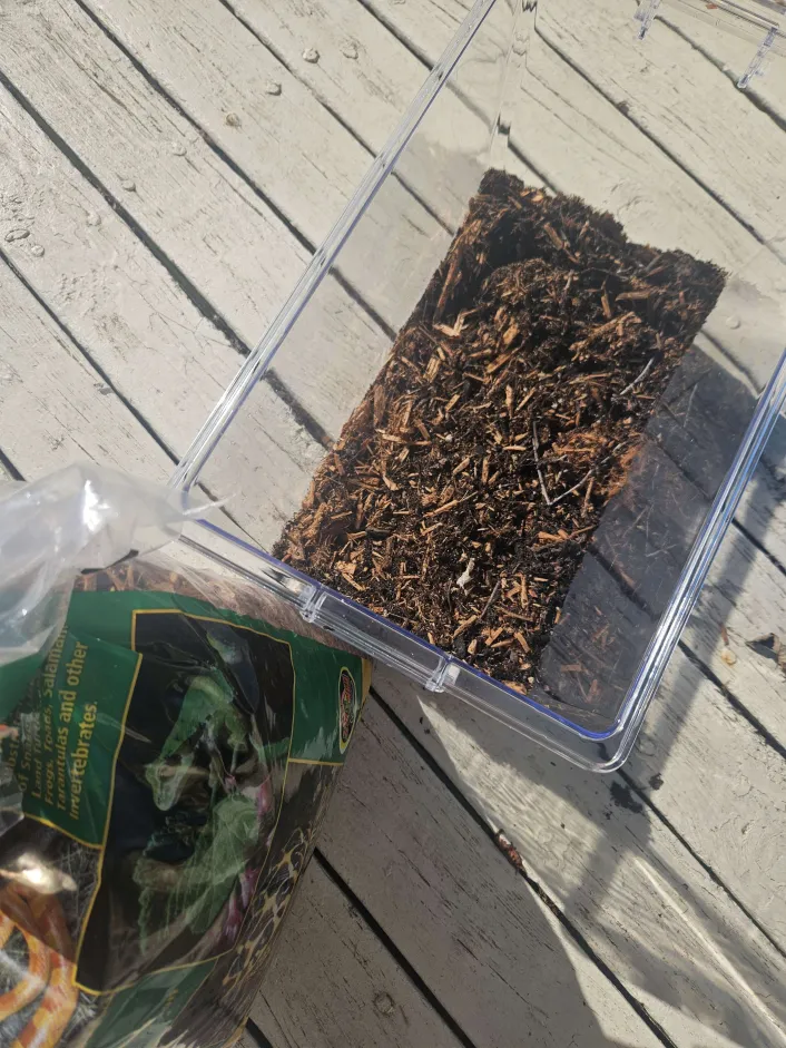 Same clear container only with mulch now mixed in the dirt